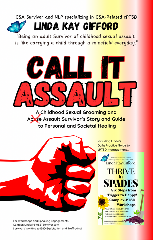 “Call It Assault!” ~ Book Introduction
