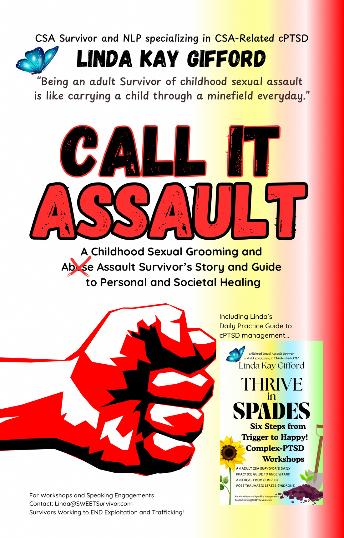 “Call It Assault!” ~ Book Introduction
